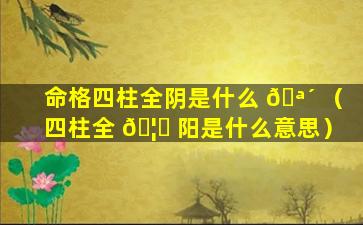 命格四柱全阴是什么 🪴 （四柱全 🦁 阳是什么意思）